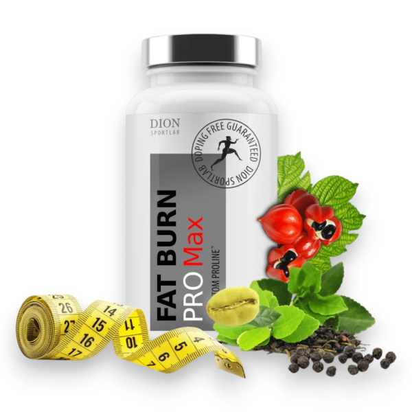 FAT BURN MAX, 60 kapsulas